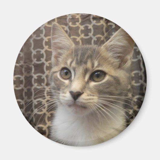 Bella Magnet Magneet (Voorkant)