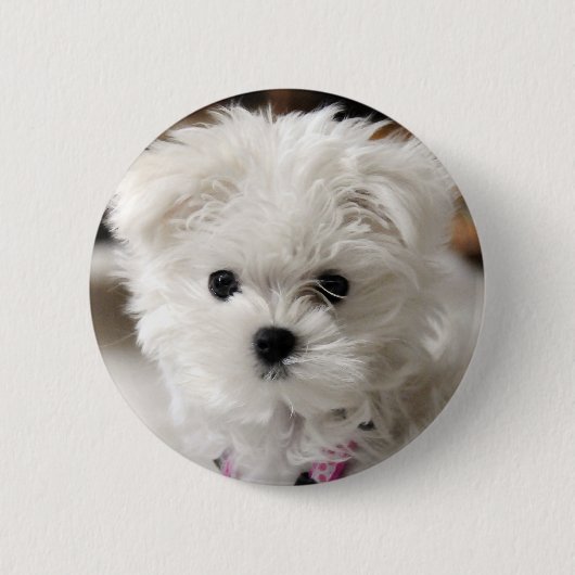 Bella Ronde Button 5,7 Cm (Voorkant)