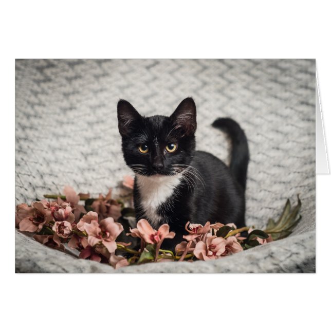  Bella-Roos (Voorkant Horizontaal)