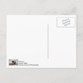 Bella-Roos Briefkaart (Achterkant)