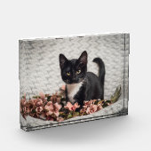  Bella-Roos Fotoblokken (Links)