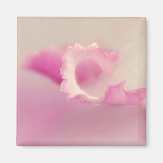 Bella Rosa Magneet