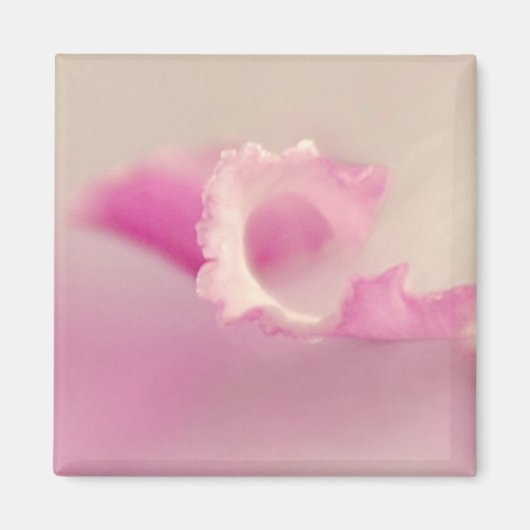 Bella Rosa Magneet (Voorkant)