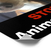 BELLA STOP ANIMAAL ABUSE POSTER (Hoek)