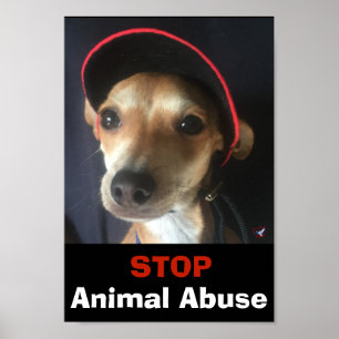 BELLA STOP ANIMAAL ABUSE POSTER