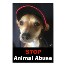 BELLA STOP ANIMAL ABUSE POSTER