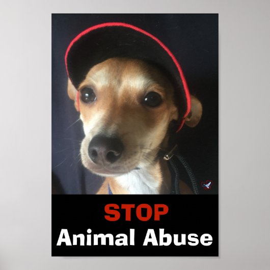 BELLA STOP ANIMAL ABUSE POSTER (Devant)