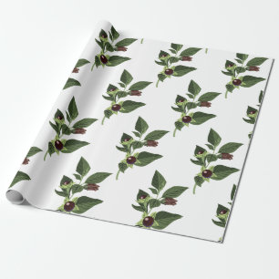 Belladonna Cadeaupapier