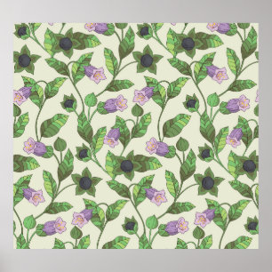 Belladonna Flowers: bloemenillustratie Poster