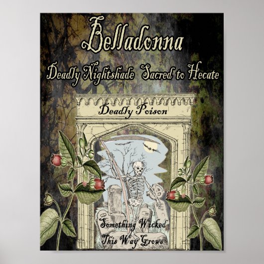 BELLADONNA WITCH'S HERB POSTER (Voorkant)