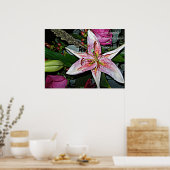 Belle affiche (Cuisine)