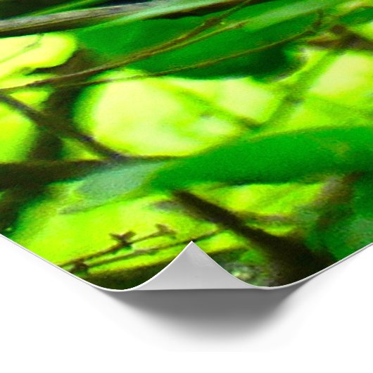 Belle affiche Cardinal oiseau de forêt de printemp (Coin)