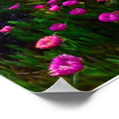 Belle affiche couché de soleil de fleurs sauvages (Coin)