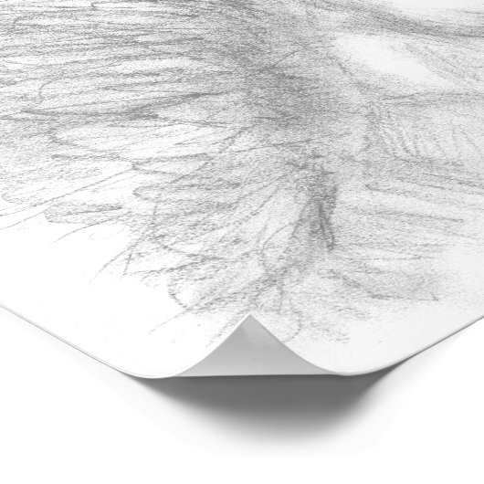 Belle affiche crayon de cheval (Coin)