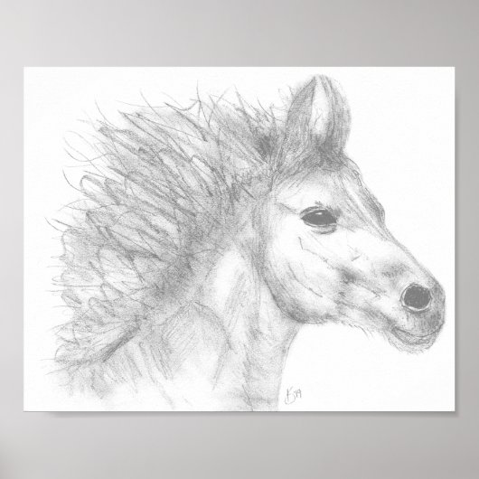 Belle affiche crayon de cheval (Devant)