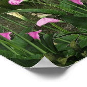 Belle affiche de cascade (Coin)