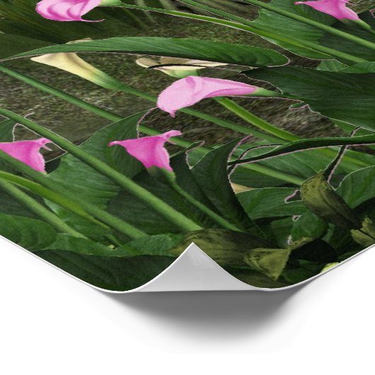 Belle affiche de cascade (Coin)