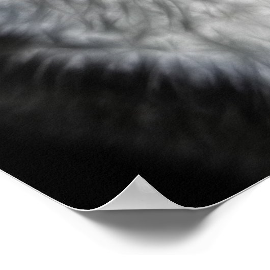 Belle affiche de chat noir et blanc (Coin)