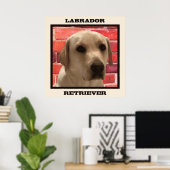 Belle affiche de chien de repérage de Labrador jau (Bureau à domicile)