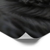 Belle affiche de chien Rottweiler (Coin)