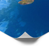 Belle affiche de corail sous-marin / mur art (Coin)