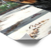 Belle affiche de Heidi Rottweiler (Coin)