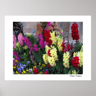 Belle affiche de jardin Imprimer