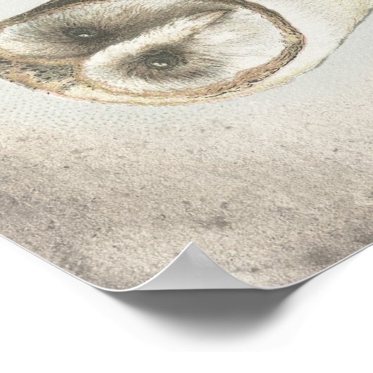 Belle affiche de la Chouette Vintage. (Coin)