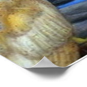 belle affiche de la nature de chouette (Coin)