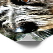 Belle affiche de leurcher gris (Coin)