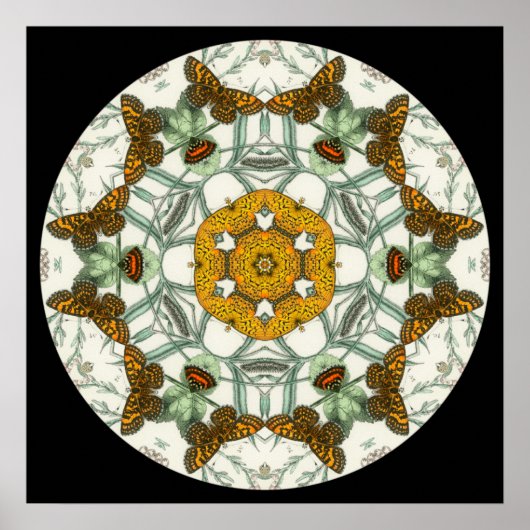 Belle affiche de mandala des ailes papillon (Devant)