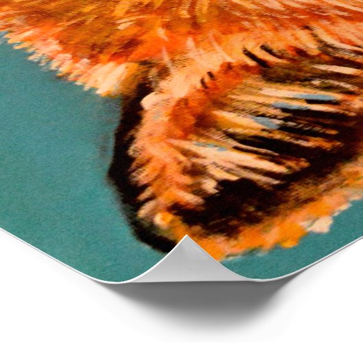 Belle affiche de renard (Coin)