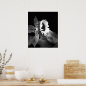 Belle affiche de tournesol en noir et blanc (Cuisine)