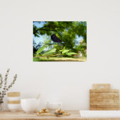 Belle affiche Demoiselle (Cuisine)