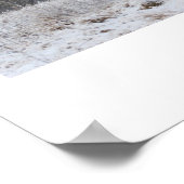 Belle affiche d'hiver ! (Coin)