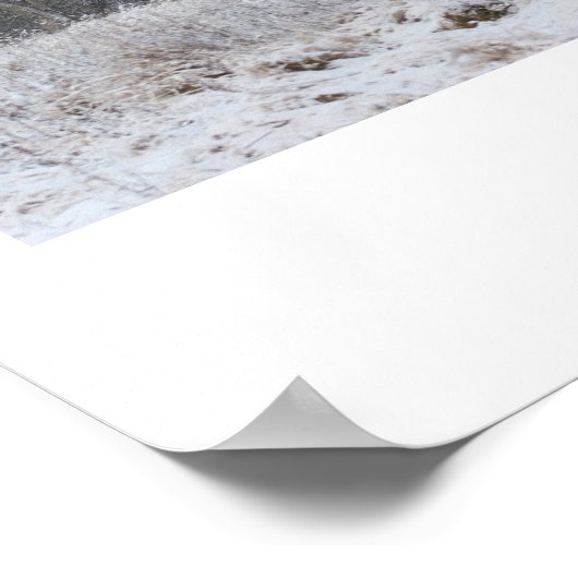 Belle affiche d'hiver ! (Coin)