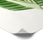 Belle affiche d'illustration Vintage (Coin)