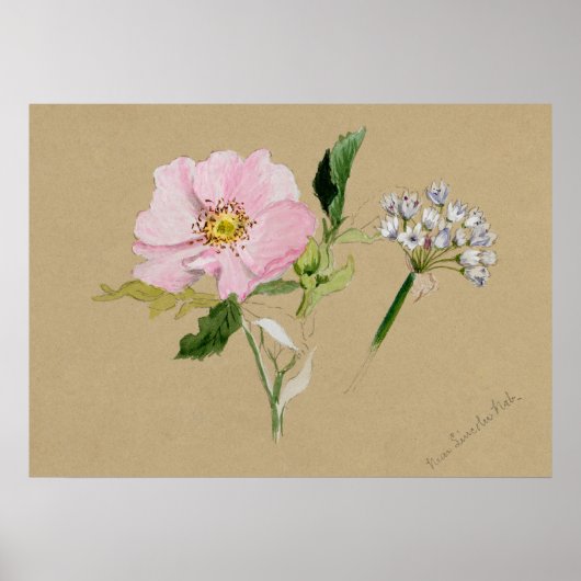 Belle affiche d'illustration Vintage (Devant)