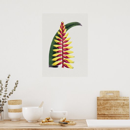 Belle affiche d'illustration Vintage (Cuisine)