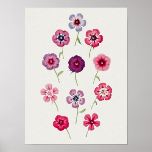 Belle affiche d'illustration Vintage (Devant)