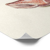 Belle affiche d'illustration Vintage (Coin)