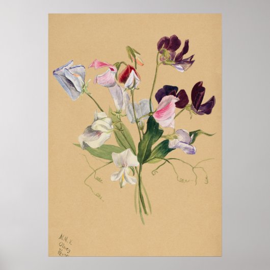Belle affiche d'illustration Vintage (Devant)