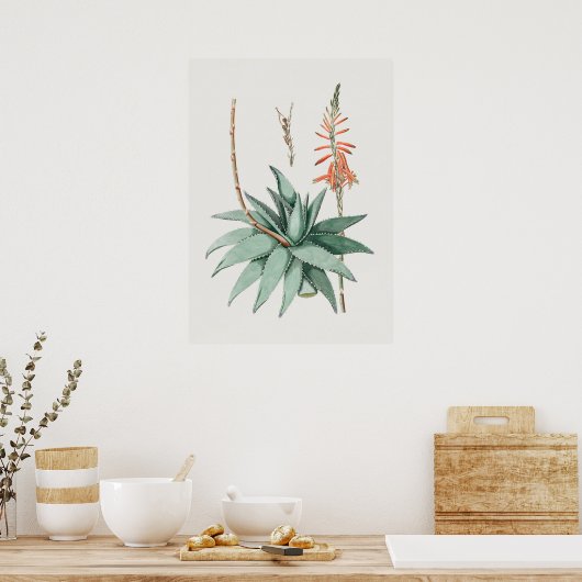 Belle affiche d'illustration Vintage (Cuisine)