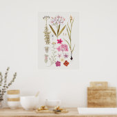 Belle affiche d'illustration Vintage (Cuisine)