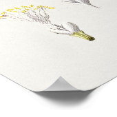 Belle affiche d'illustration Vintage (Coin)