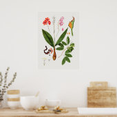 Belle affiche d'illustration Vintage (Cuisine)