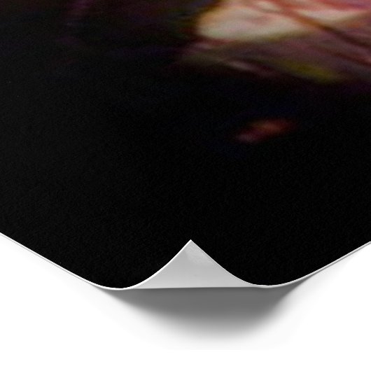 Belle affiche d'Ozarks (Coin)