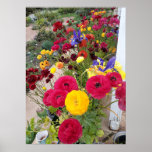 Belle affiche du jardin de fleurs de printemps de<br><div class="desc">Belle Poster du Jardin de Pavot Rose. Une affiche glorieuse pour compléter n'importe quelle décoration,  prise de mon propre jardin.</div>