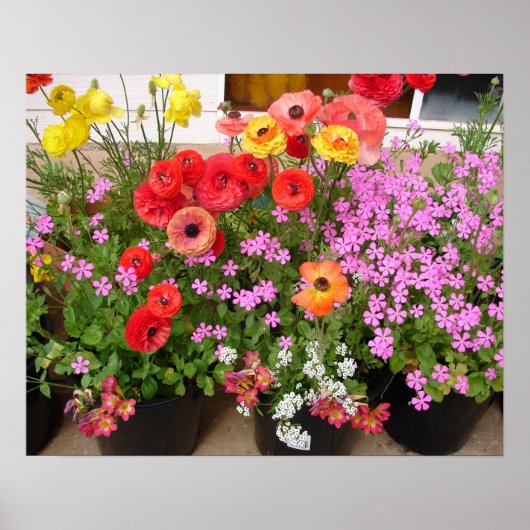 Belle affiche du jardin de fleurs de printemps de (Devant)