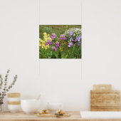 Belle affiche du jardin fleuri Iris Irises (Cuisine)